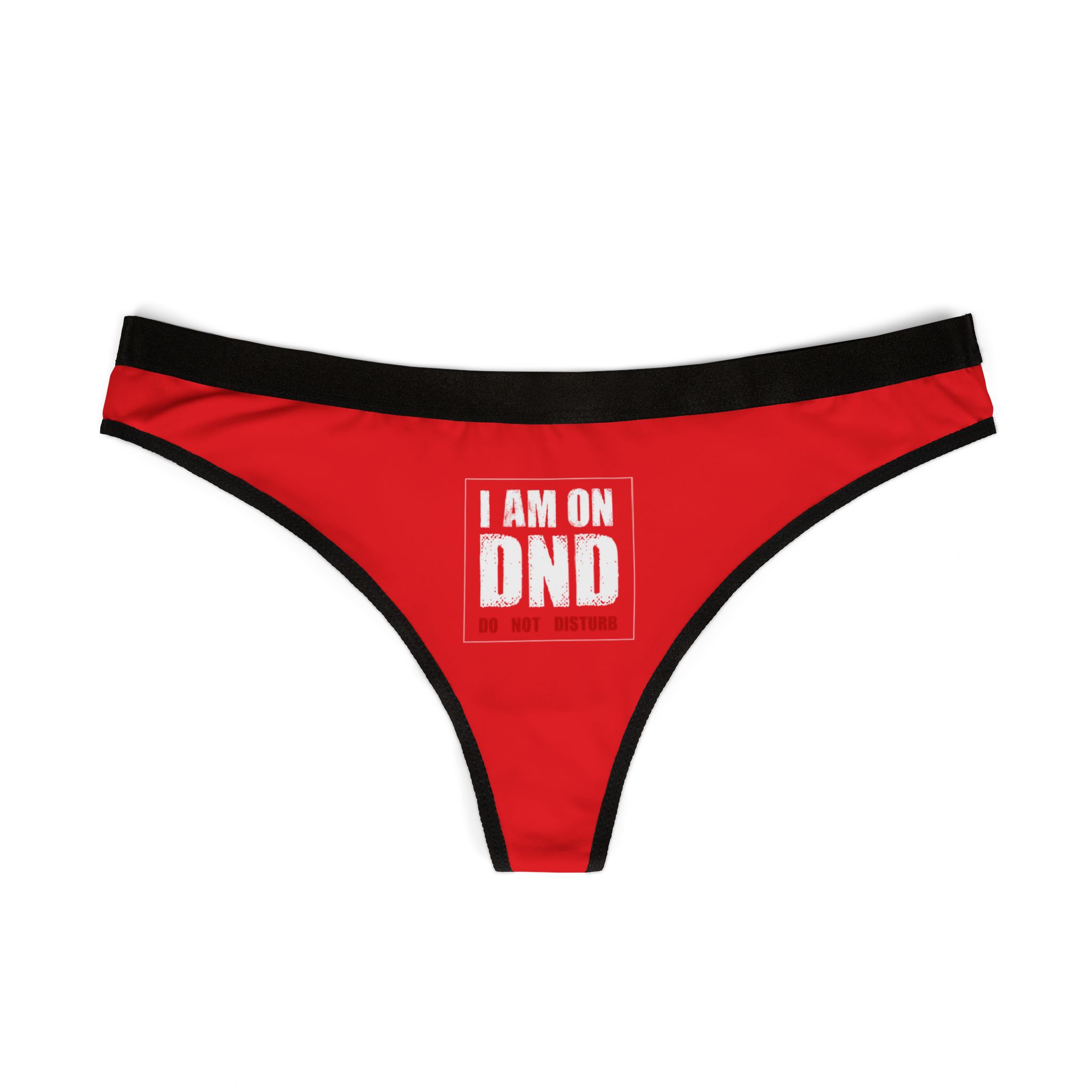 DND Women’s Briefs Panties – Do Not Disturb – Antimicrobial Fabric – Made in USA